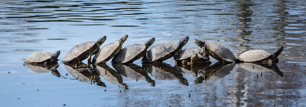 Build it yourself: How a small team deployed OpenStack