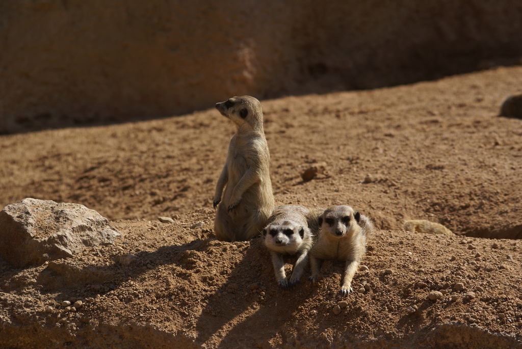 Build it yourself: How a small team deployed OpenStack