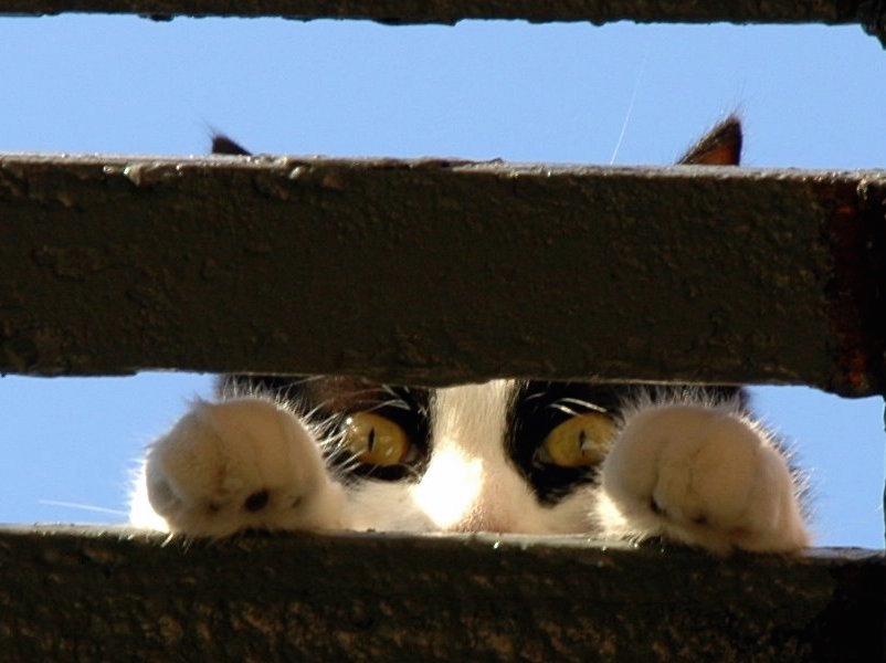 Build it yourself: How a small team deployed OpenStack