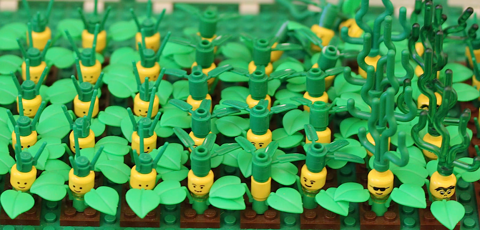 Growing allies in the OpenStack community