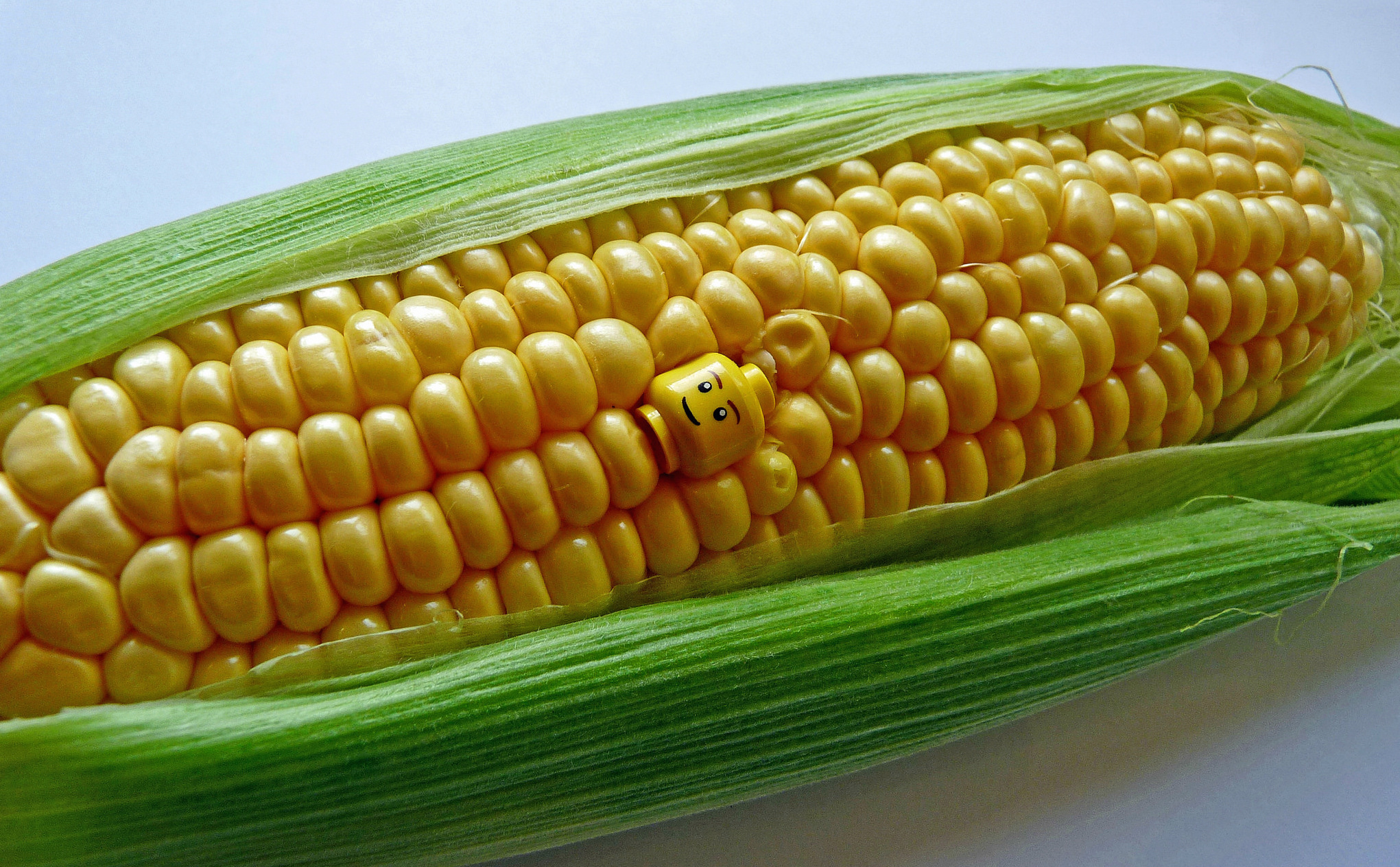 Build it yourself: How a small team deployed OpenStack