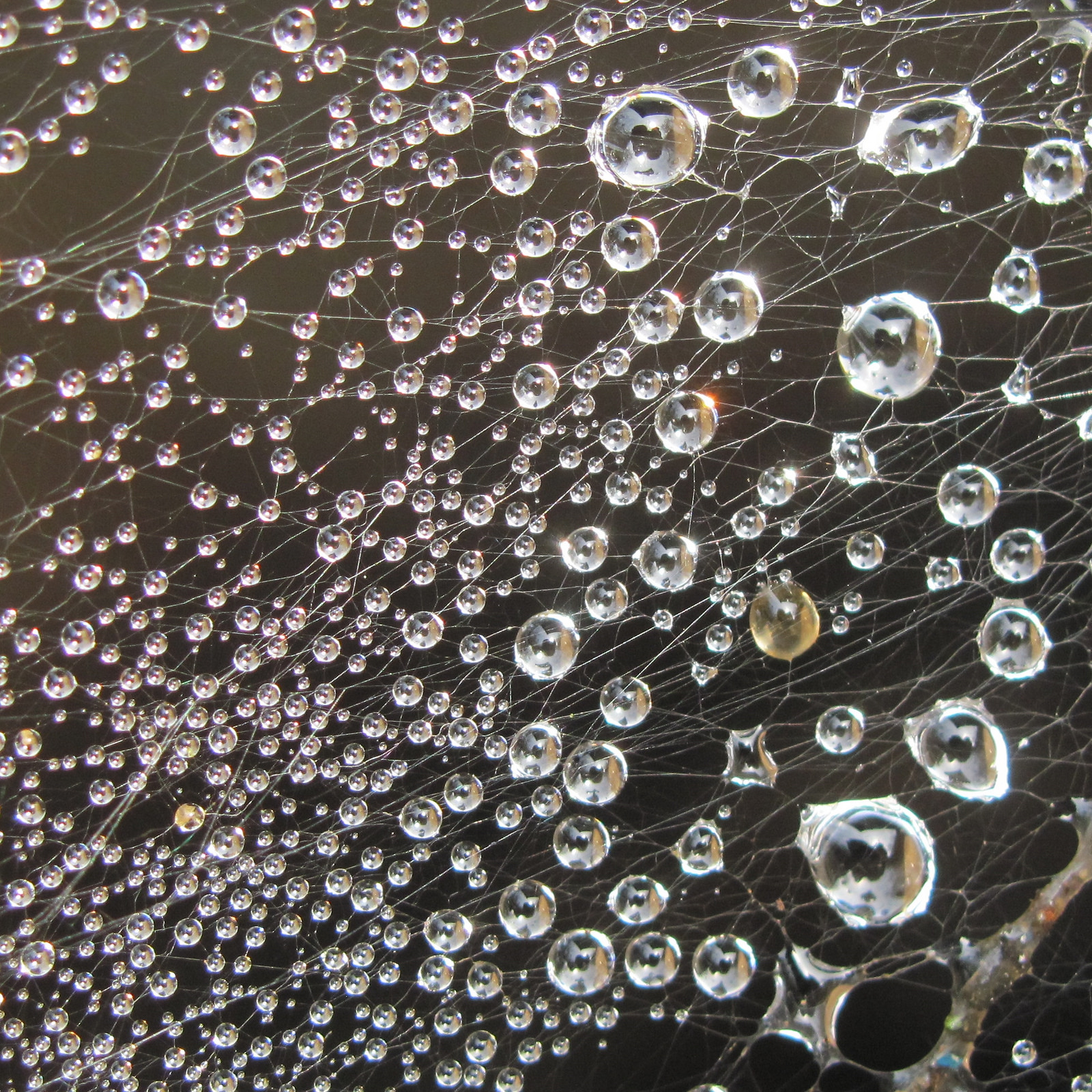 Build it yourself: How a small team deployed OpenStack