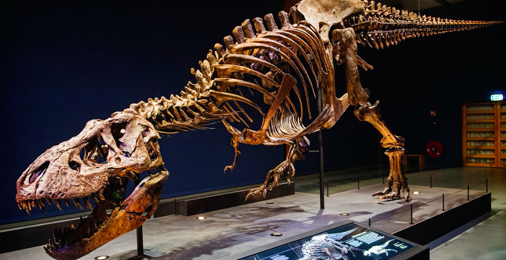 Science institute taps OpenStack to accelerate biodiversity research