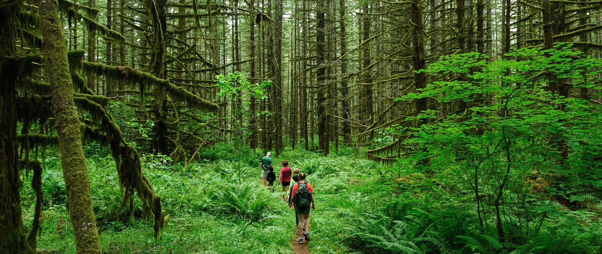 Build it yourself: How a small team deployed OpenStack