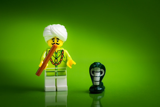 Why Python is more popular than Kim Kardashian