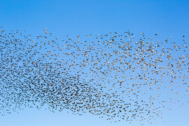 Build it yourself: How a small team deployed OpenStack