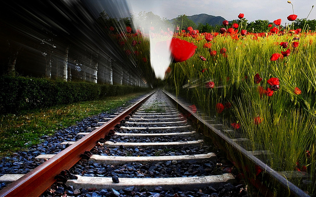 Build it yourself: How a small team deployed OpenStack