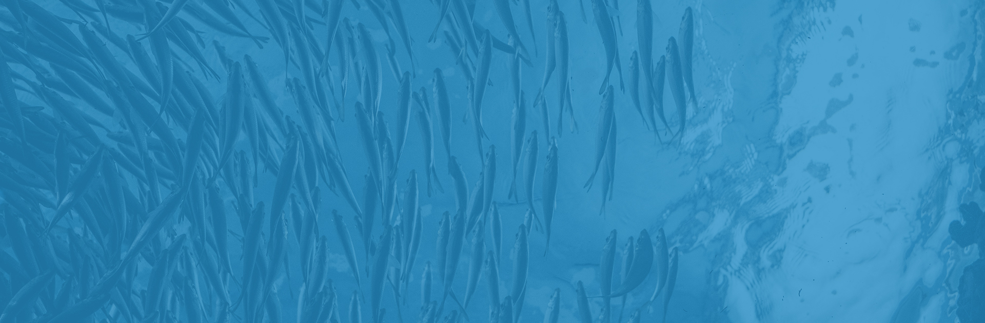 Build it yourself: How a small team deployed OpenStack